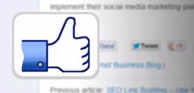 Getting More Fans By Promoting Your Facebook Page - Website Button