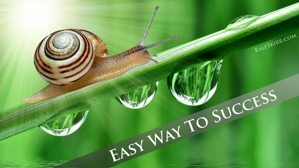 Snail moving upwards.