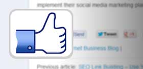 Getting More Fans By Promoting Your Facebook Page - Website Button