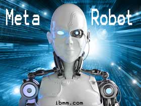 Impact Of The Robots.Txt On Seo - Meta robots